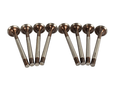 Клапан выпускной ВАЗ-2112, 2170 (комплект 8 штук) Riginal