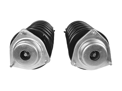 Стойка телескопическая ВАЗ-2110 левая/правая с пружиной в сборе комплект