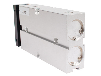 Пневмоцилиндр TN20x50S двухпоршневой