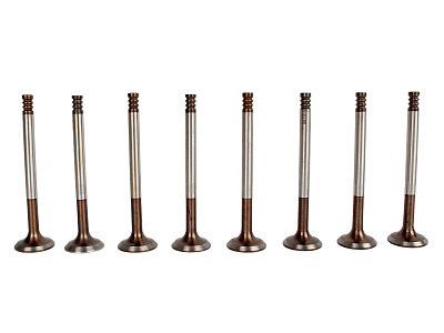 Клапан выпускной ВАЗ-2112, 2170 (комплект 8 штук) Riginal