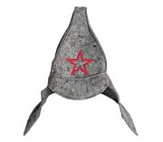 Колпак БУДЕНОВКА