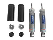 Амортизатор ВАЗ-2123 передний комплект SS-20