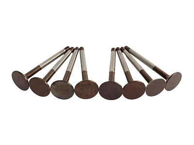 Клапан выпускной ВАЗ-2112, 2170 (комплект 8 штук) Riginal