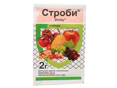 Средство для защиты растений от болезней Строби 2 гр
