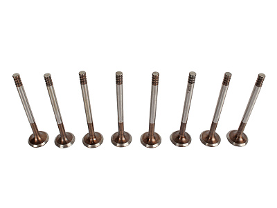 Клапан выпускной ВАЗ-2112, 2170 (комплект 8 штук) Riginal